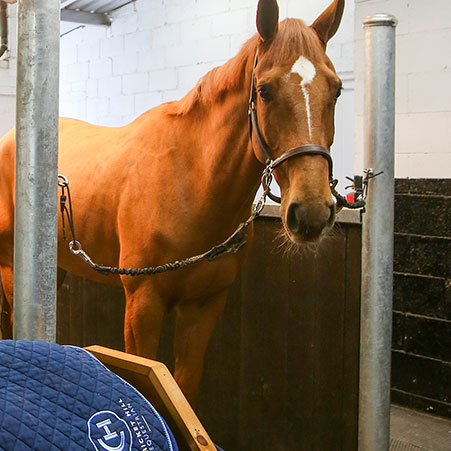 Solarium and Hot Wash Box